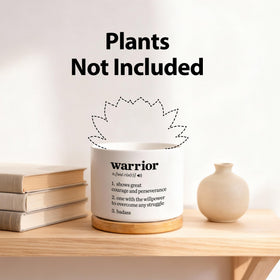 Loovelo Warrior Definition ceramic succulent pot with drainage hole improves watering control.