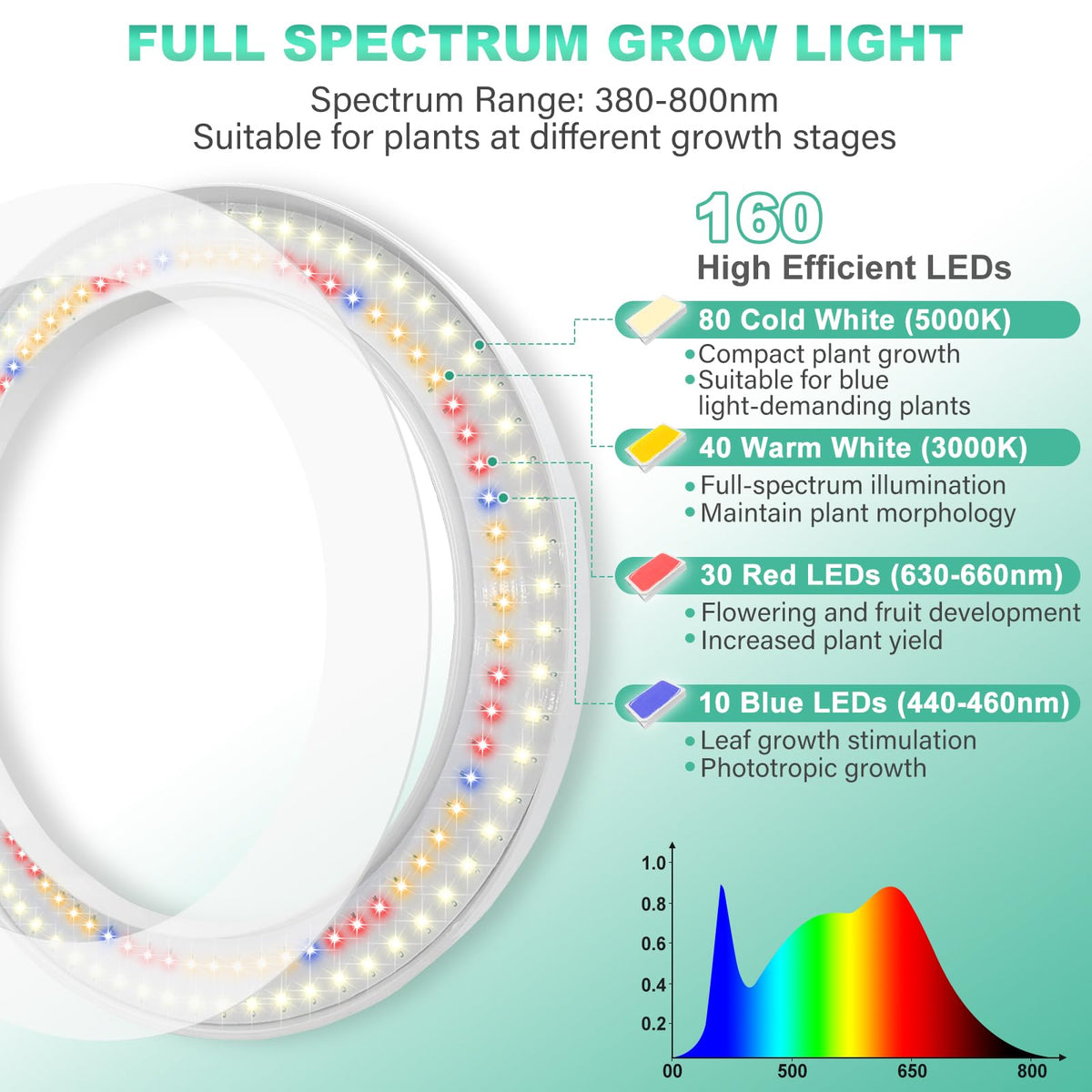 LORDEM full-spectrum LEDs provide balanced indoor growth