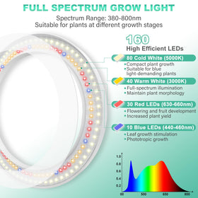 LORDEM full-spectrum LEDs provide balanced indoor growth