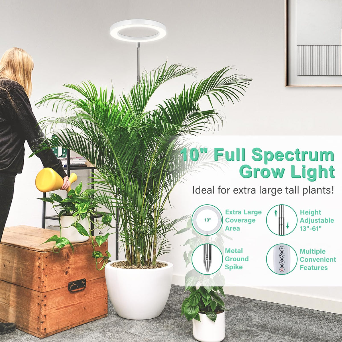 LORDEM 10-inch grow light mounted on a 65-inch adjustable pole