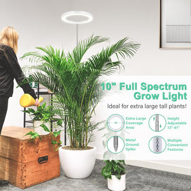 LORDEM 10-inch grow light mounted on a 65-inch adjustable pole
