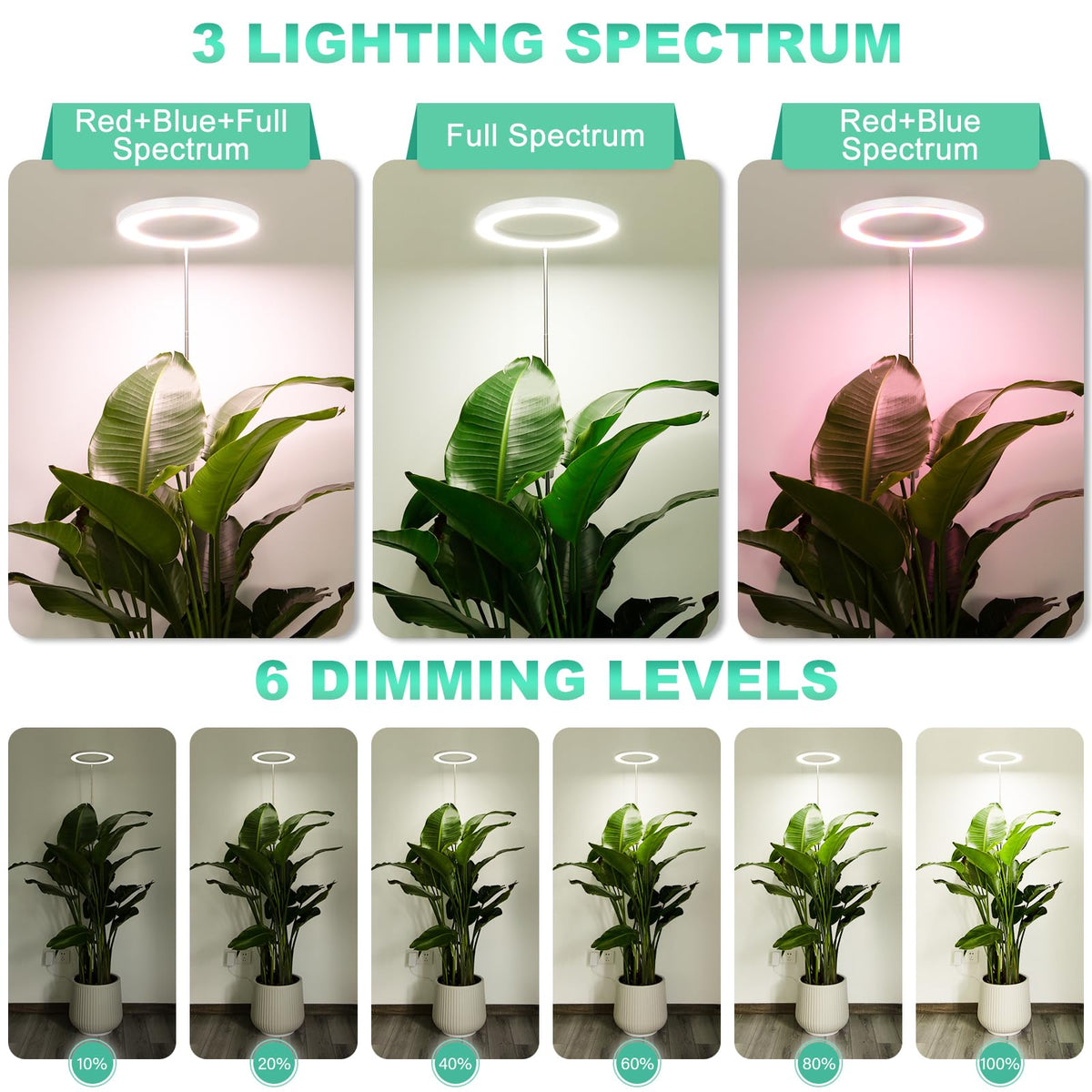 LORDEM auto-timer supports a consistent daily lighting schedule