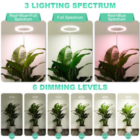 LORDEM auto-timer supports a consistent daily lighting schedule