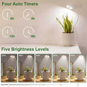 LORDEM 360-degree gooseneck allows precise light direction