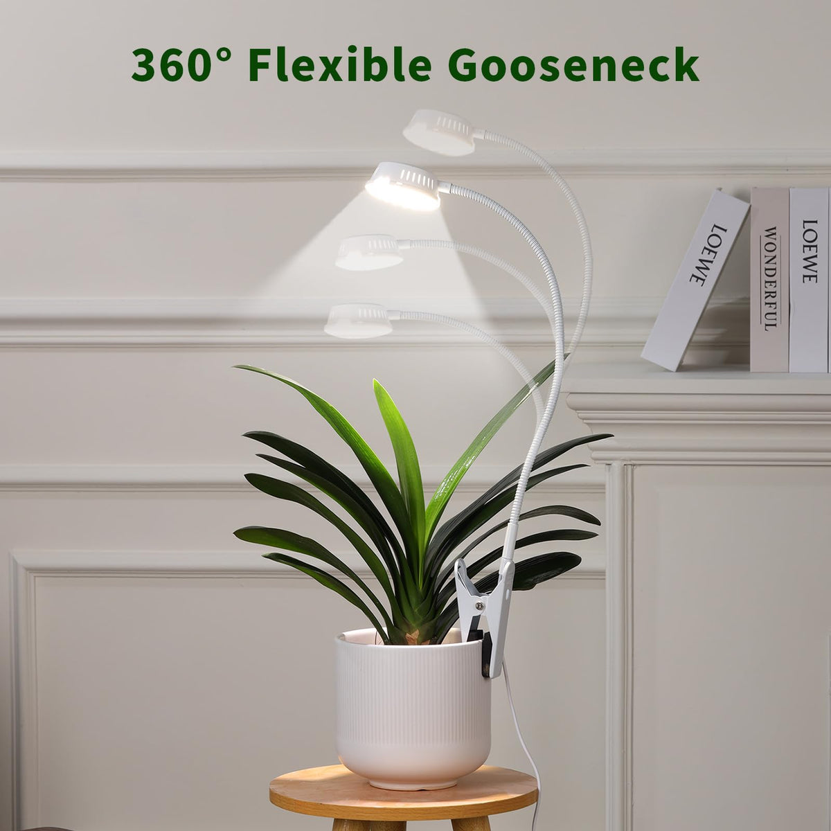 LORDEM 5 dimming levels tailor light brightness for different plants.