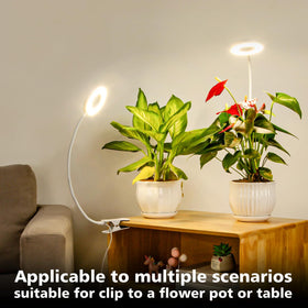 LORDEM Auto Timer Clip Light ensures consistent daily lighting for plants