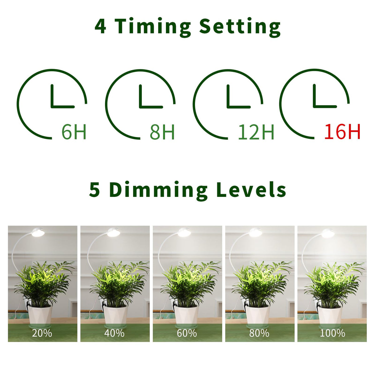 LORDEM auto timer setup enables hands-free scheduling for plant care.