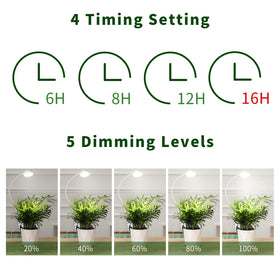 LORDEM auto timer setup enables hands-free scheduling for plant care.