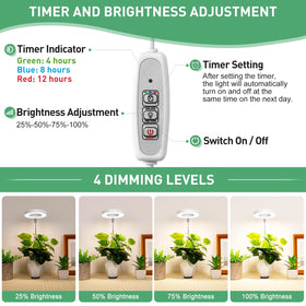 LORDEM automatic timer ensures consistent daily light cycles