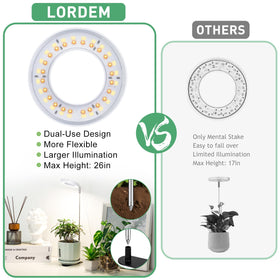 LORDEM four brightness levels for flexible lighting