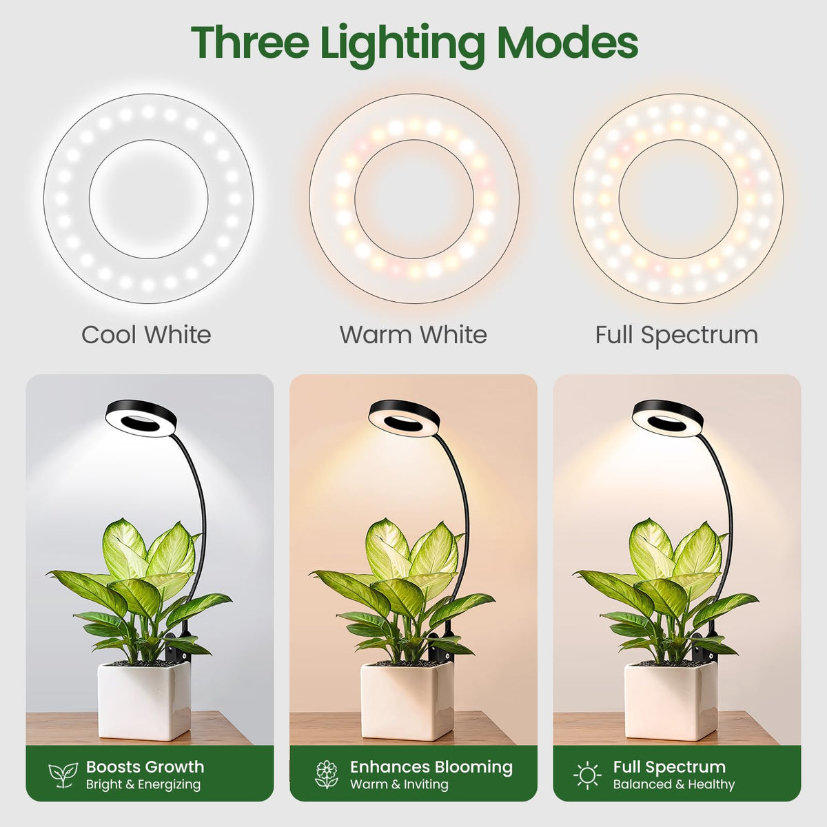 LORDEM full-spectrum LED with three modes supports steady indoor growth