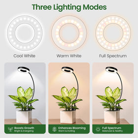 LORDEM full-spectrum LED with three modes supports steady indoor growth
