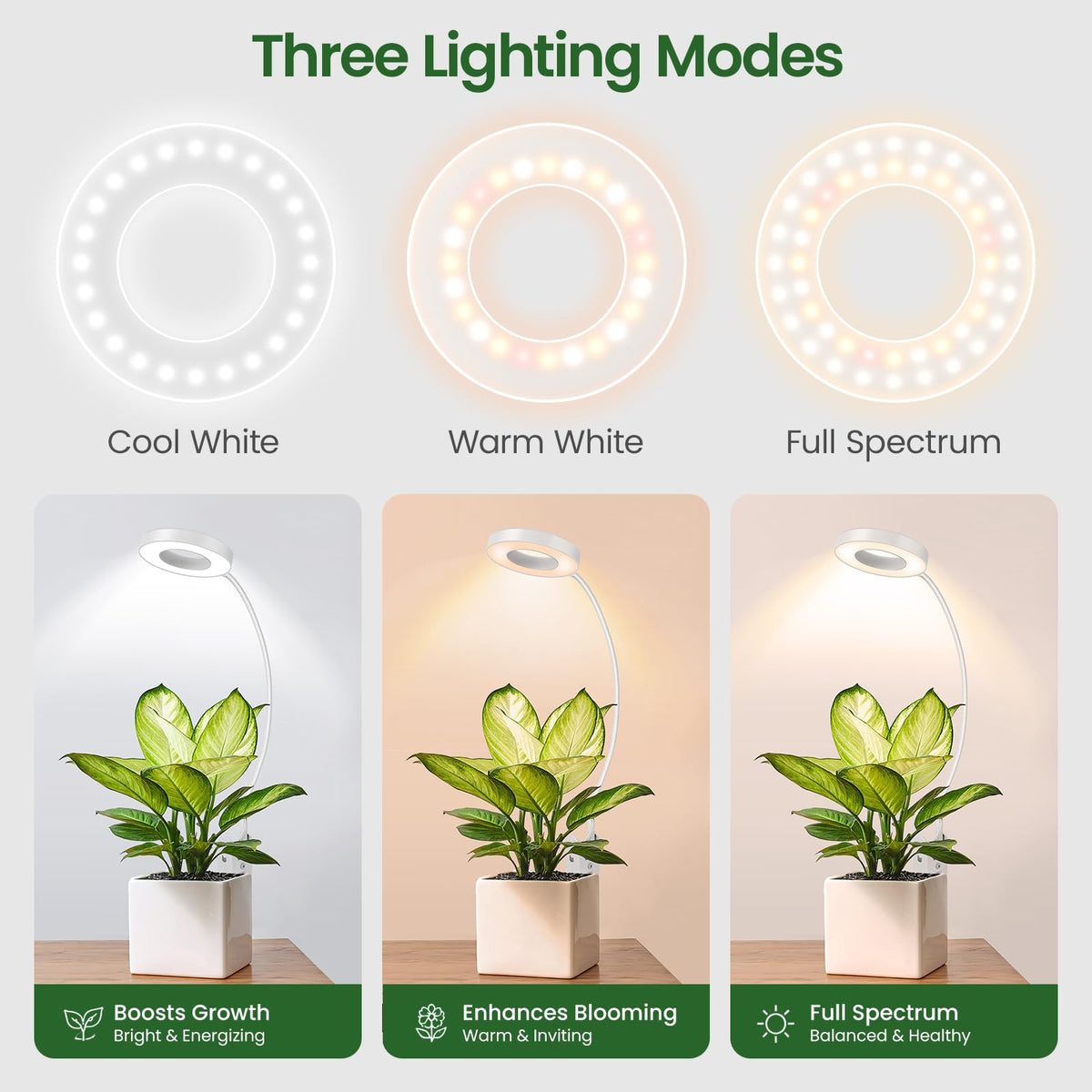 LORDEM full spectrum LED with three modes for germination and growth