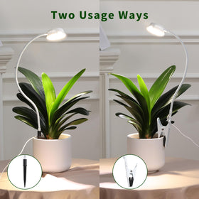 LORDEM full-spectrum LED beads provide balanced light for all growth stages.