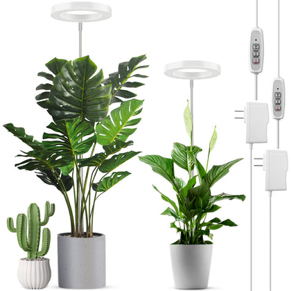 LORDEM full-spectrum LED grow light panel for thriving indoor plants.