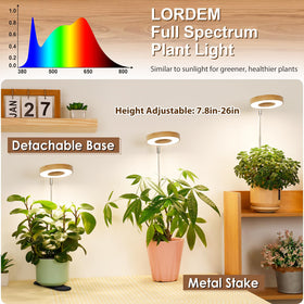 Lordem full spectrum LED light panel evenly illuminating a small plant