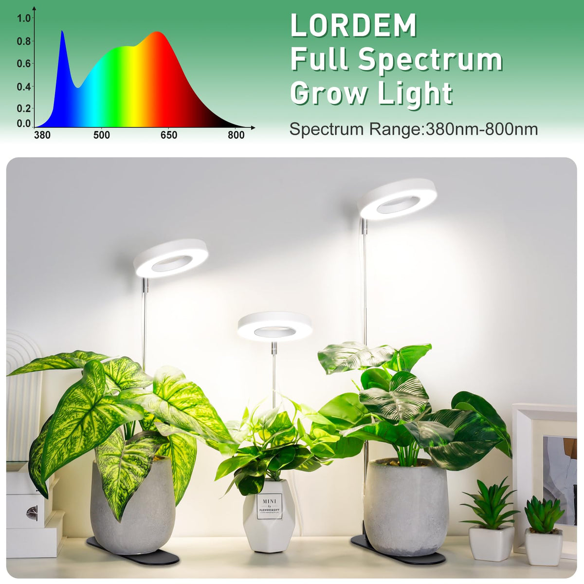 LORDEM halo desk light with 180 degree rotating tubes