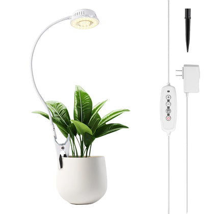 LORDEM grow light with clip-on gooseneck illuminating indoor plants.