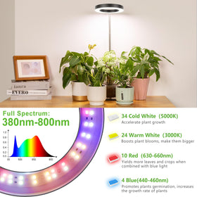 LORDEM desk-ready setup shows a compact, office-friendly grow light on a desk.