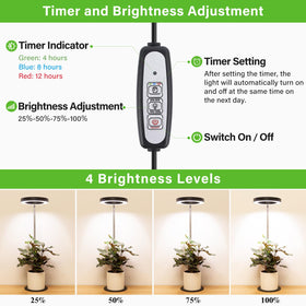 LORDEM grow light offers four dimmable settings to tailor brightness.