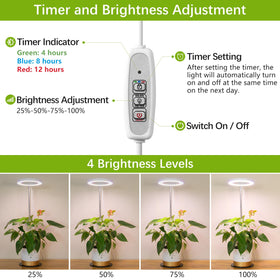 LORDEM Grow Light with four dimmable settings lets you tailor brightness for each plant