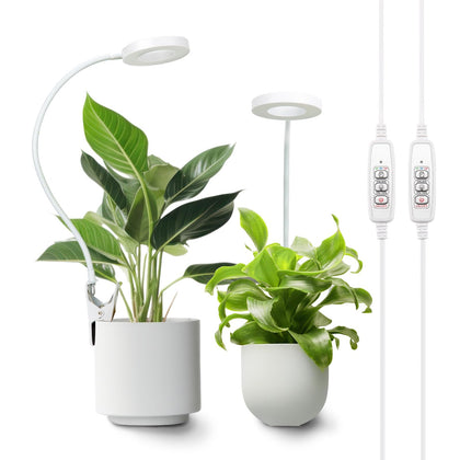LORDEM Grow Light Full Spectrum Clip illuminates indoor plants for healthier growth