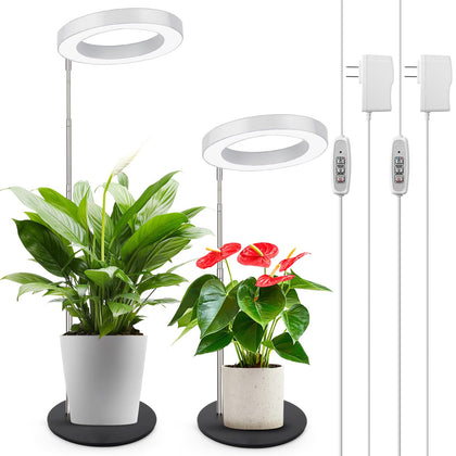 LORDEM Grow Light with stable base keeps desk plants steady and properly lit