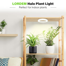 LORDEM Halo Grow Light 72 LEDs emphasizing bright, vibrant indoor growth