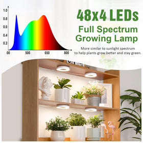 LORDEM Halo brightness control offers 6 levels for different growth stages.