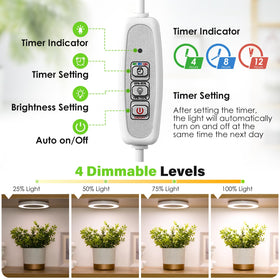 LORDEM Halo Grow Light with four brightness levels for plant stages