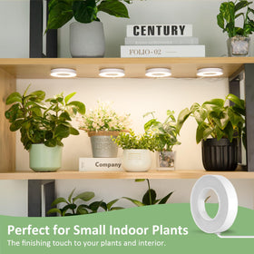 LORDEM Halo compact design fits small pots and shelves.