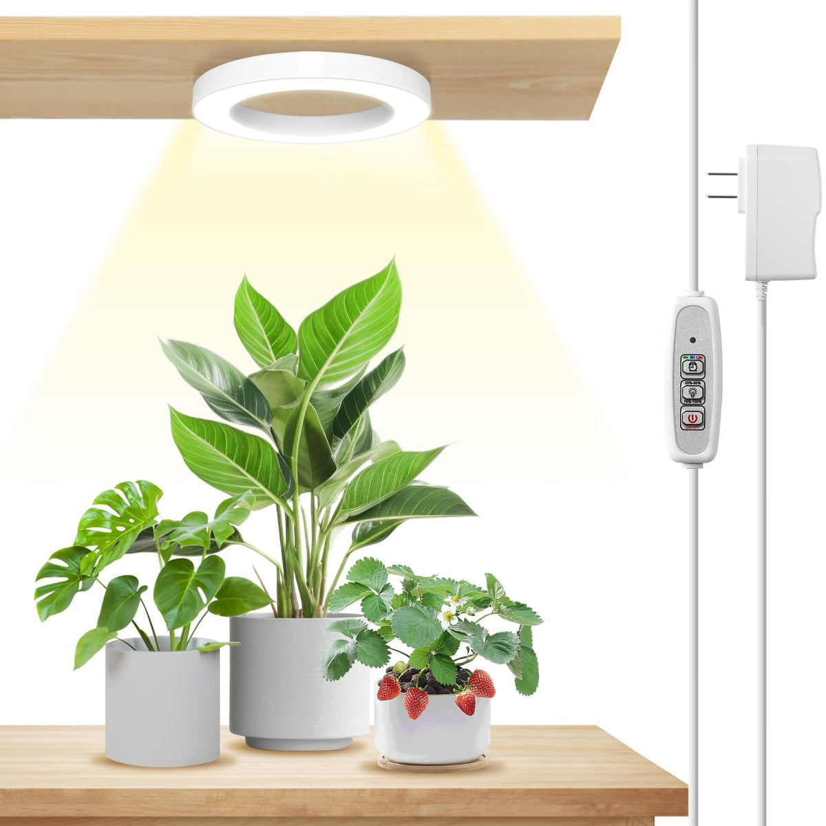 LORDEM Halo Grow Light placed above potted plants on a shelf