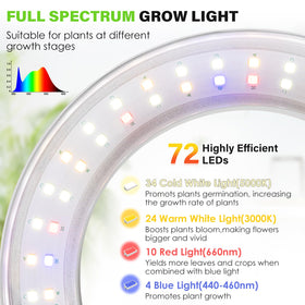 LORDEM Halo Grow Light timer interface displaying scheduling options