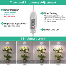LORDEM height-adjustable rod lets you tailor light height.