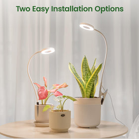 LORDEM grow light positioned in soil stake for versatile indoor setups