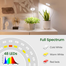 LORDEM light with a long 78.7 inch cord for flexible placement