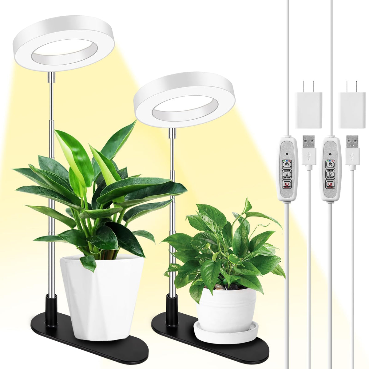LORDEM plant grow light on desk, full spectrum halo for indoor greens