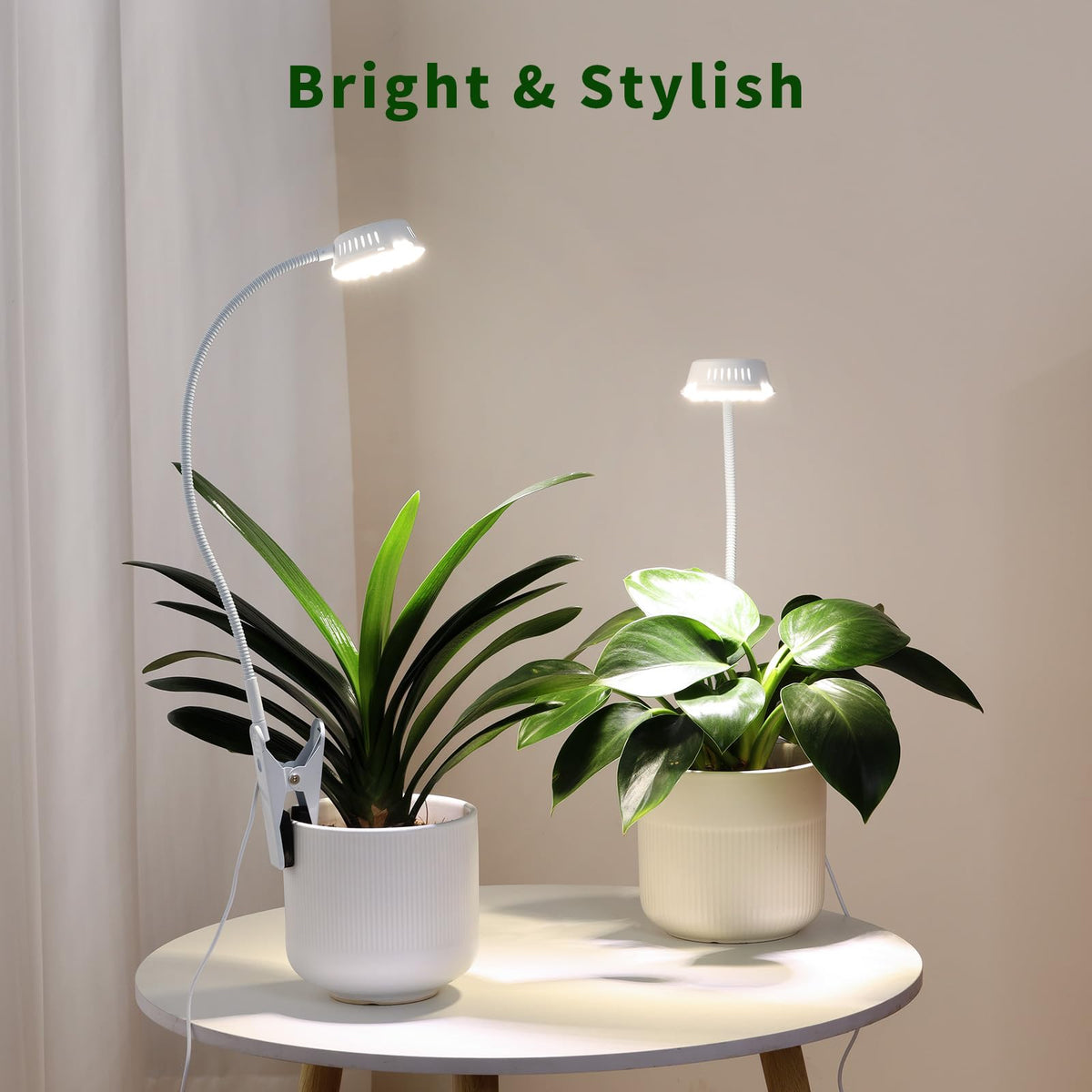 LORDEM wide-use support suitable for herbs, succulents, and blooms at home.