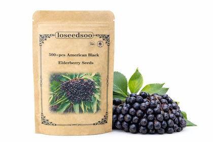 Loseedsoo elderberry seeds packaging with resealable pouch for easy storage and planting.