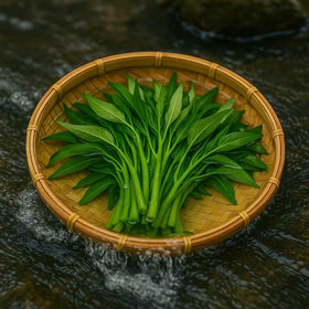 Loseedsoo Kong Xin Cai crisp leaves for vibrant salads and soups.