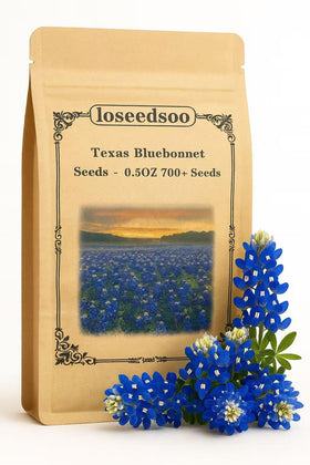 Loseedsoo Texas Bluebonnet seeds in a 0.5 oz pack for bold spring color.