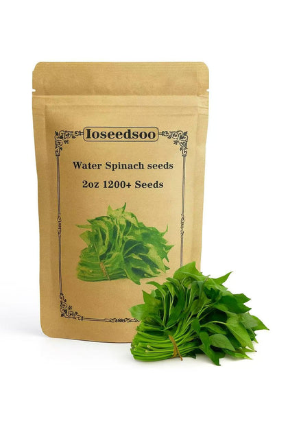 Loseedsoo Water Spinach Seeds pack for home planting, fresh greens ready to harvest.
