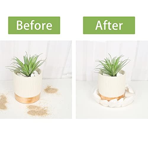 Losensild rounded-wave edge plant saucer enhances modern decor for indoor pots.