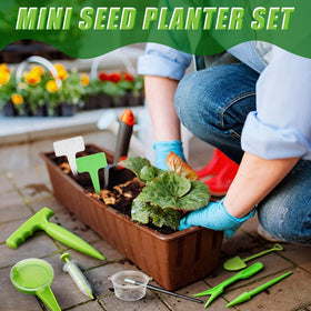 Lothee seedling tools set for careful seedling care.