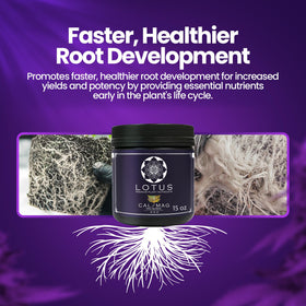 Cal-Mag Pro under LED grow lights boosts calcium demand for healthier growth.