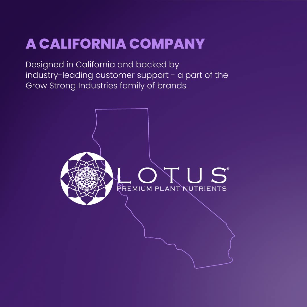 Intro Kit inclusion helps test the full Lotus system.