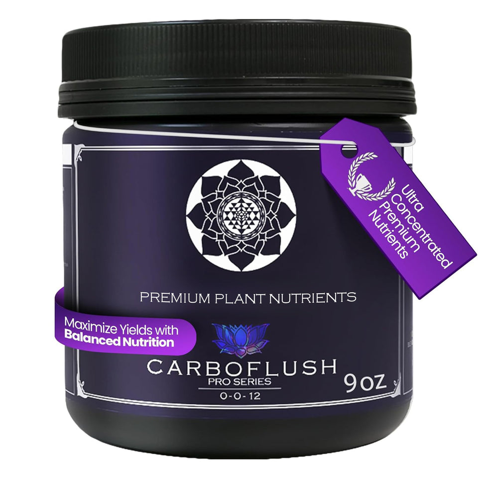 Lotus Nutrients CarFinish bottle pour for easy mixing during harvest prep.