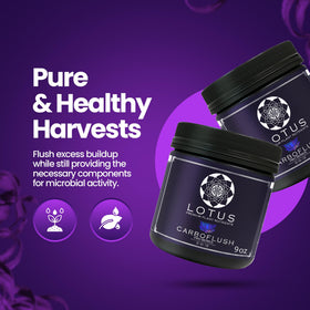 Lotus Nutrients CarFinish resin aroma visualization indicating enhanced scent profile.