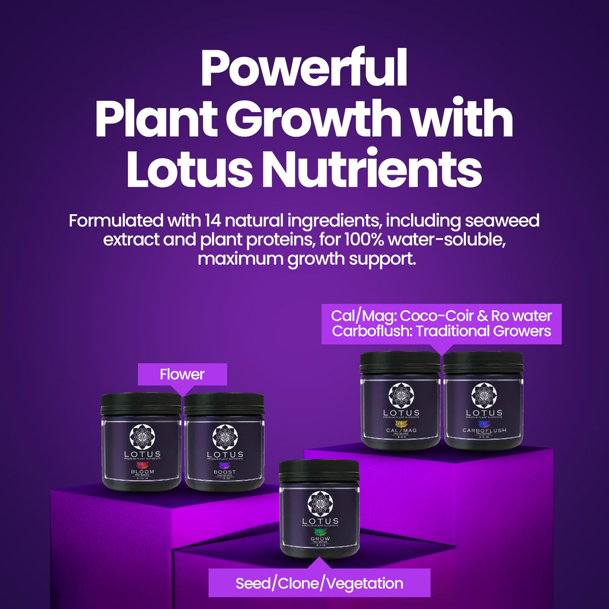 Lotus Nutrients starter kit in a grow tent scene showing indoor versatility