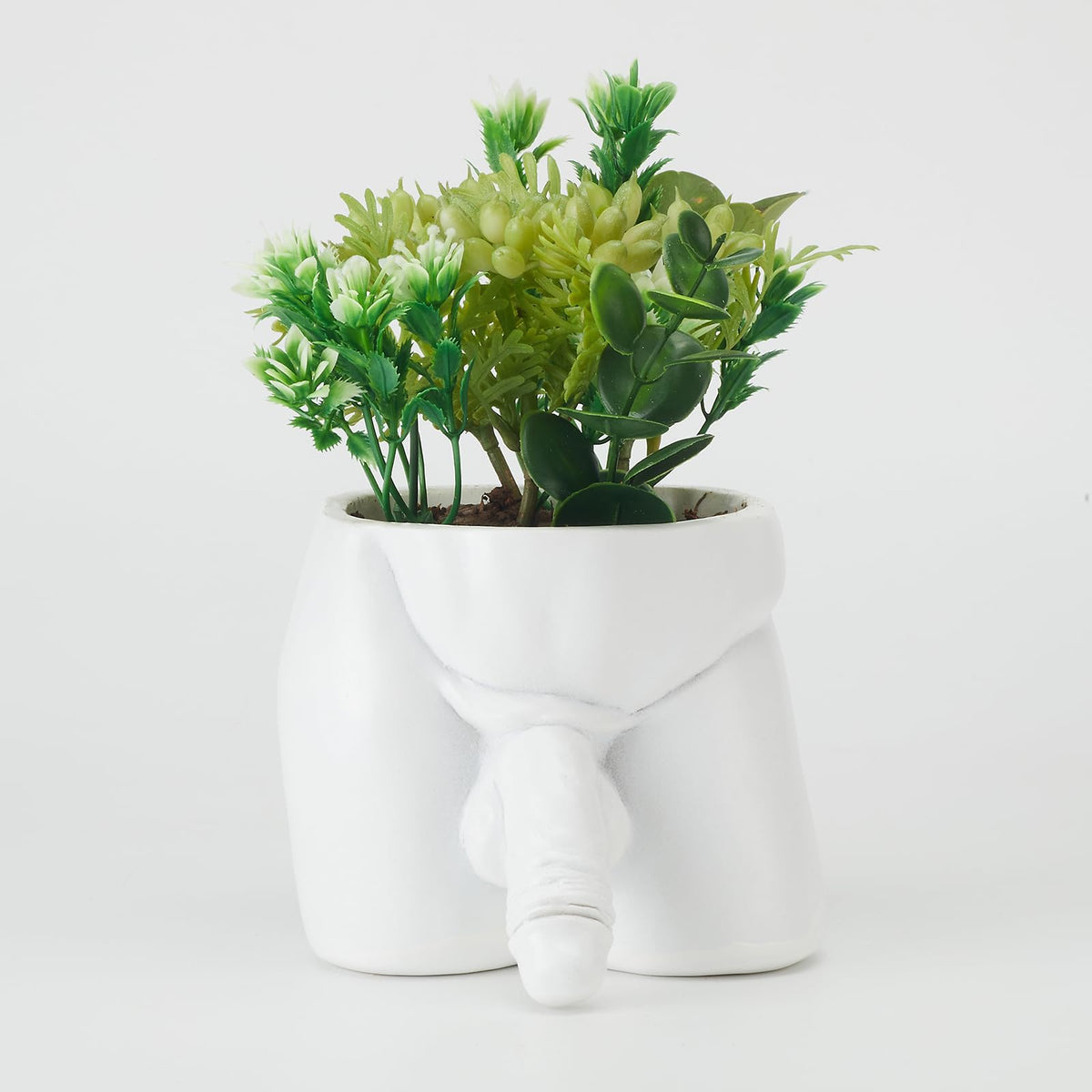 Lourich penis planter pot in white for succulents and small plants.